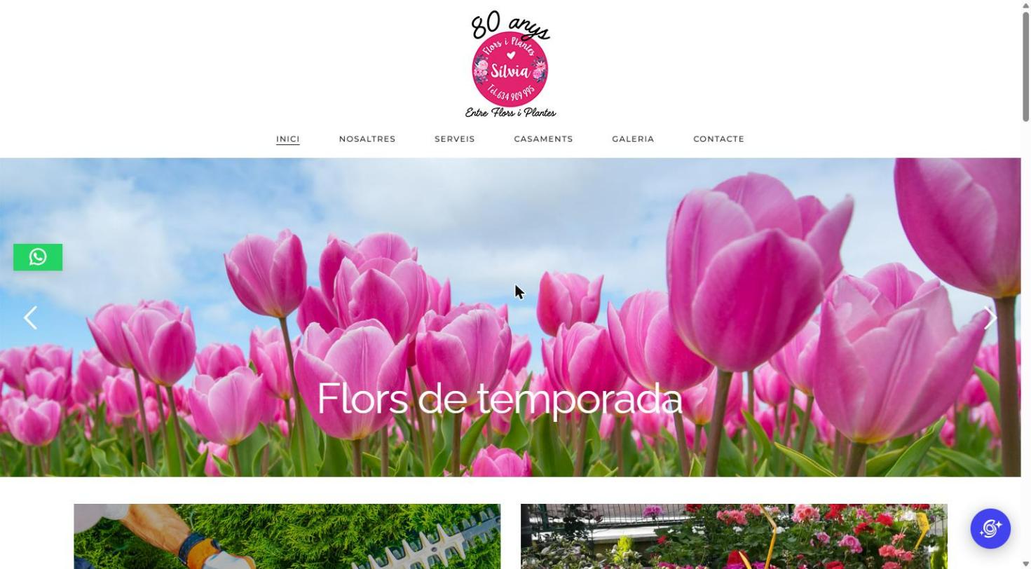 Flors i Plantes Sílvia