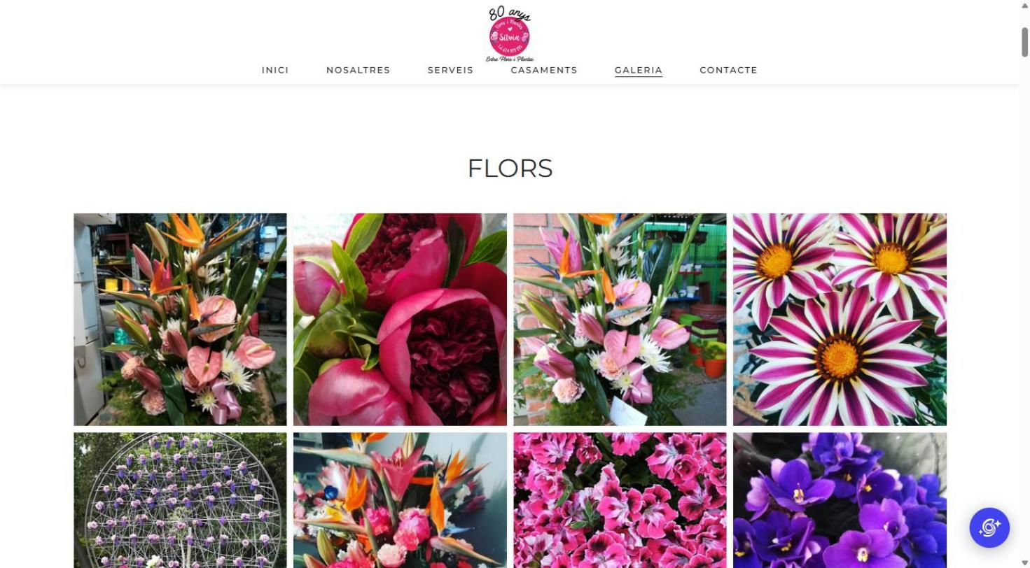 Flors i Plantes Sílvia – pantalla 5